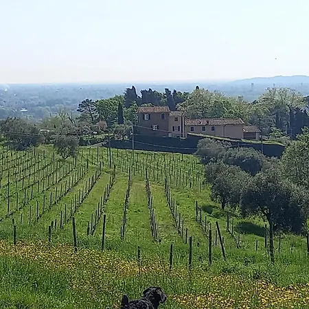 Il Pasco * Lucca