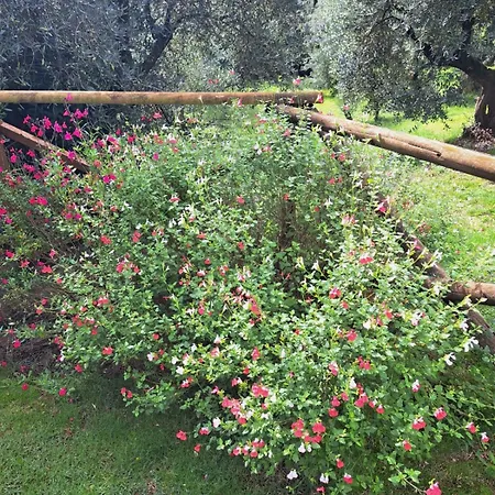Il Pasco Holiday home Lucca